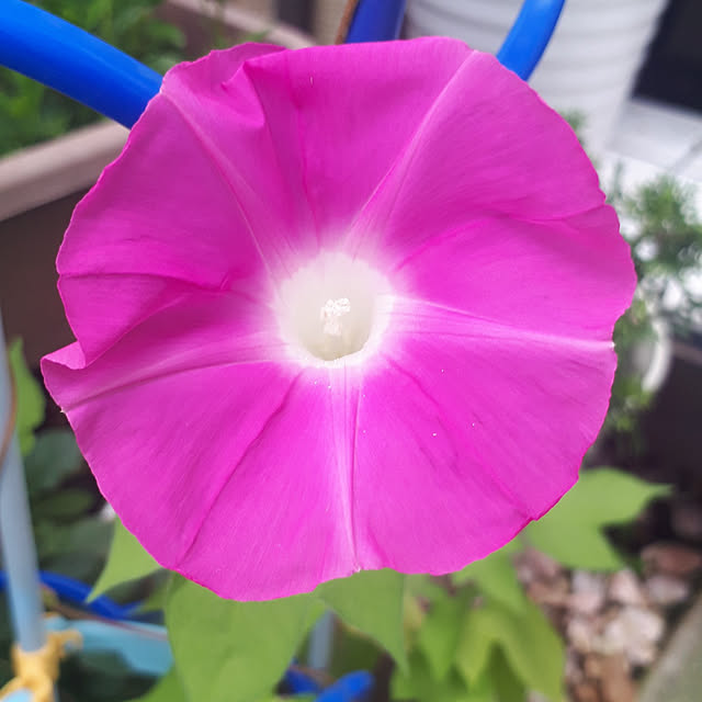 aiさんの実例写真