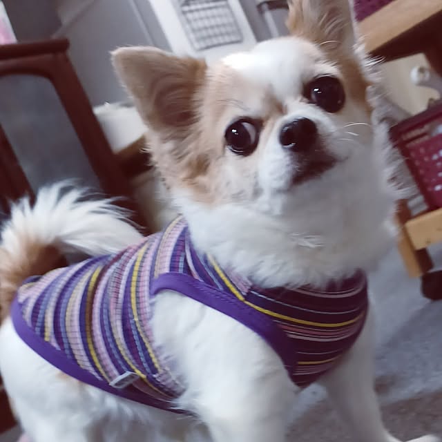 hiro.904さんの実例写真