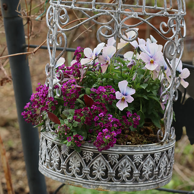 rokokoさんの部屋