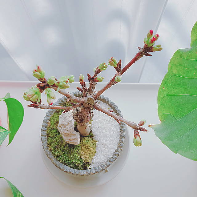 yuyuさんの部屋