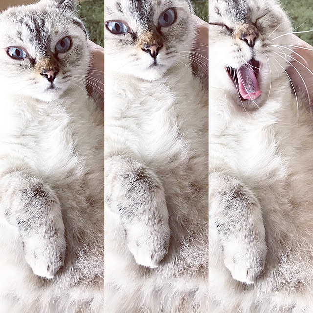 nachuさんの実例写真