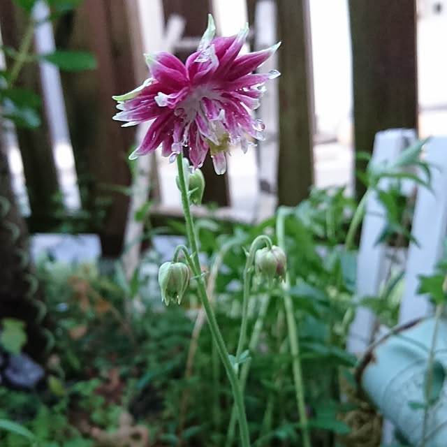 demetanさんの実例写真