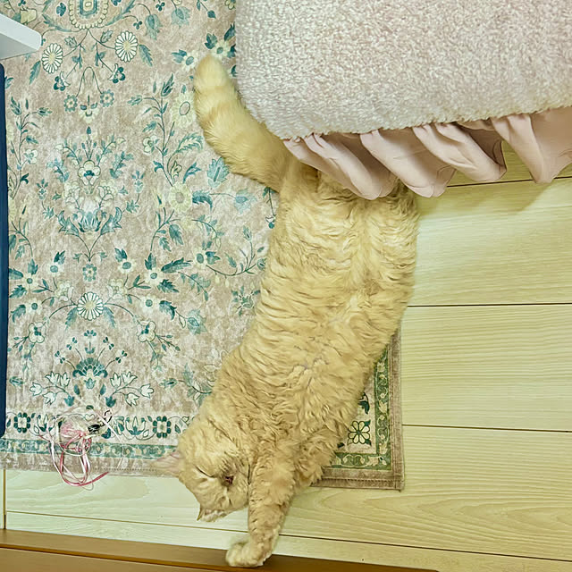 naokoさんの実例写真