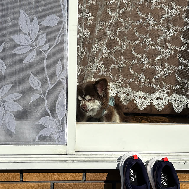 chIoeさんの部屋