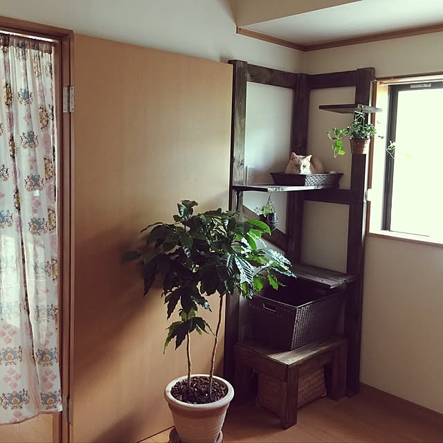 mikan161さんの実例写真