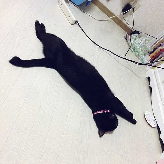 Kumiさんの実例写真