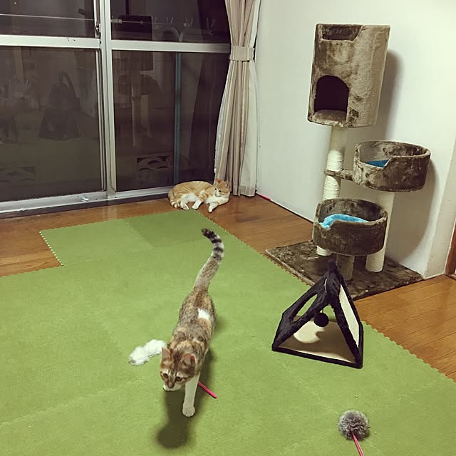 実例写真