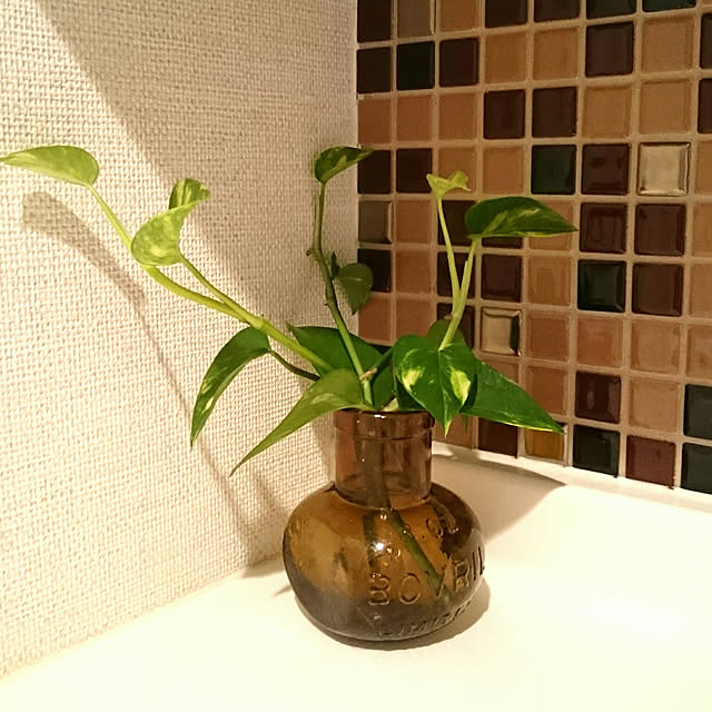 bee215さんの実例写真