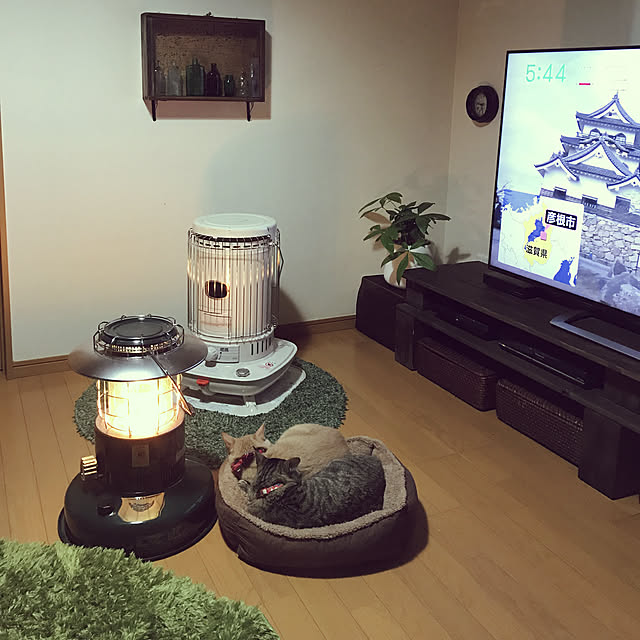 mikan161さんの実例写真