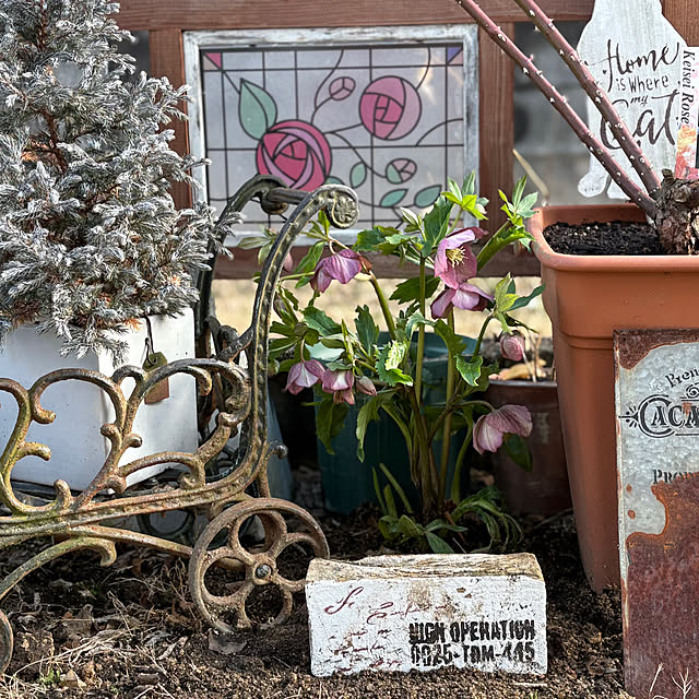 mayumiさんの実例写真