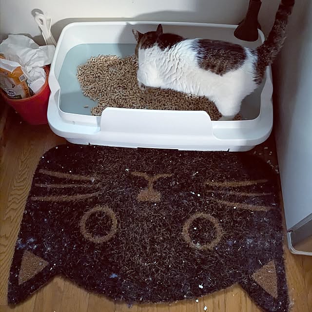 hiroさんの部屋