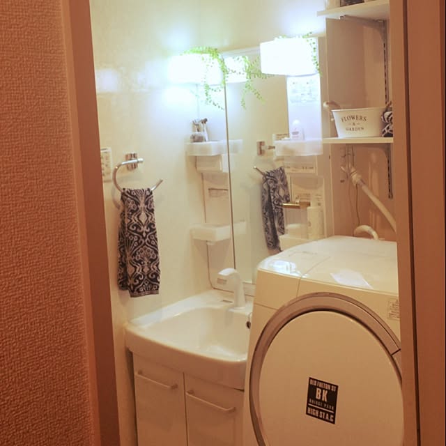 Sapiさんの実例写真