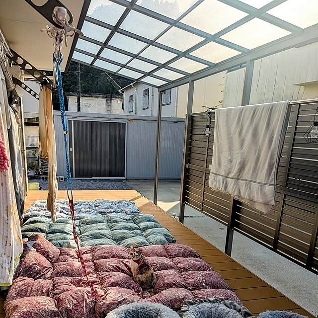 kohakuさんの部屋