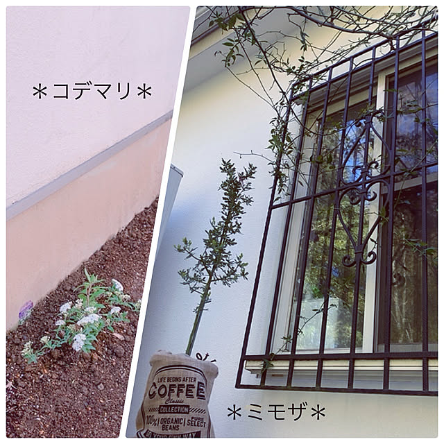 kittyさんの実例写真