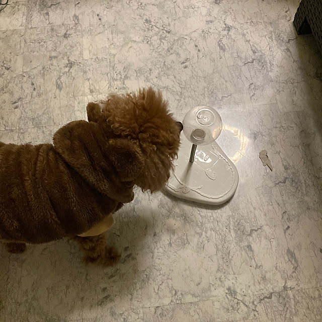 MOMOMAMAさんの部屋