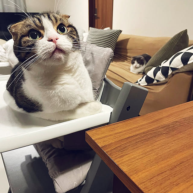 tansukeさんの部屋