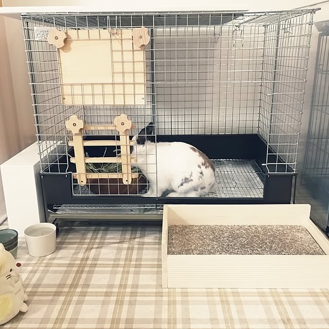 momoさんの実例写真