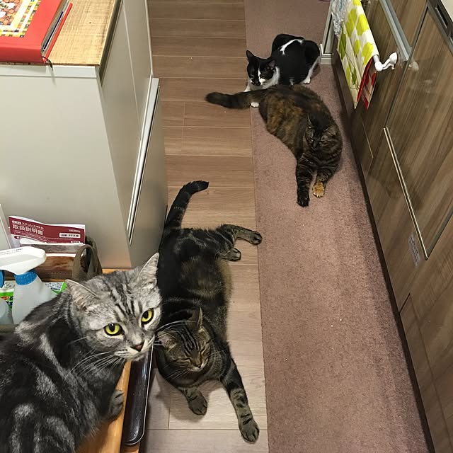 mikomaruさんの実例写真