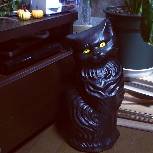 mizさんの実例写真
