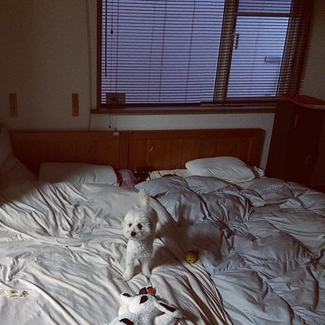 mocoyuki113さんの実例写真