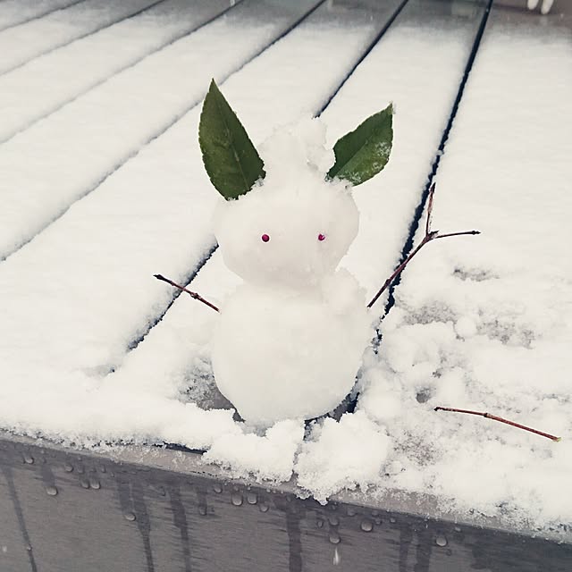 momokasanさんの実例写真