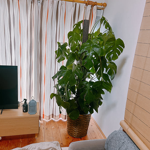 Chipさんの実例写真