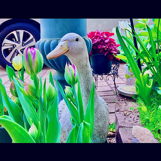 tinkunさんの実例写真