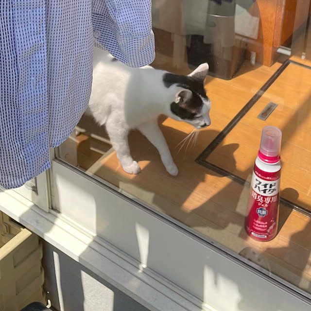 nobikoさんの実例写真