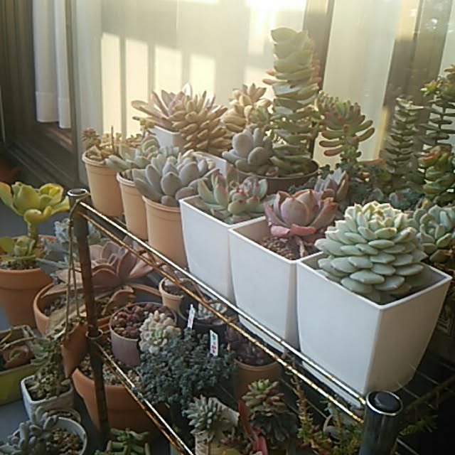 yuKorinさんの実例写真