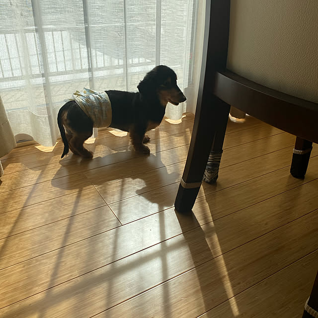 fuuchanさんの実例写真