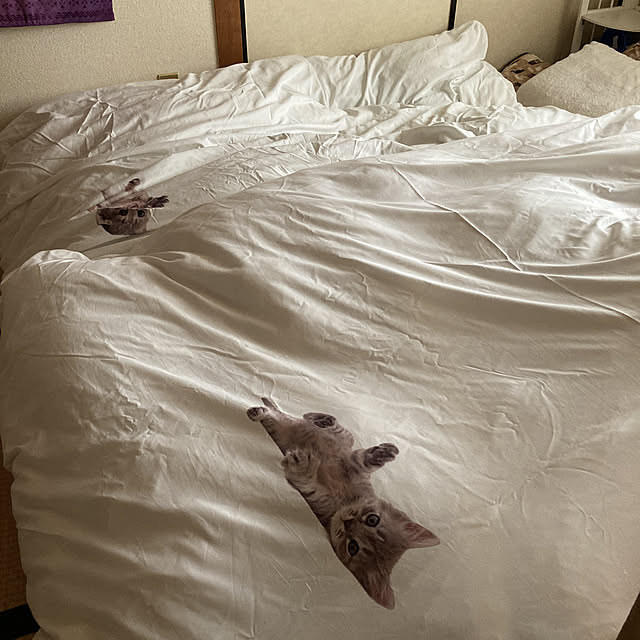 burachichiさんの実例写真