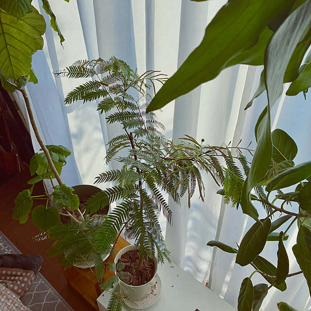 ayayayayaさんの部屋