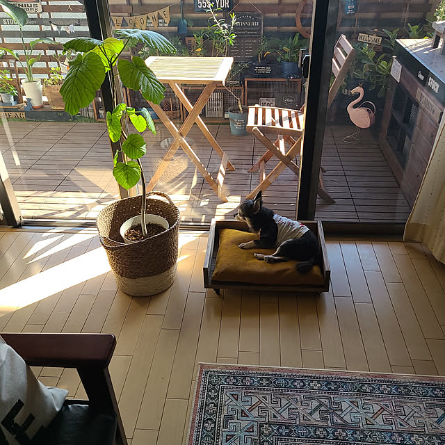 lovepeaceさんの実例写真