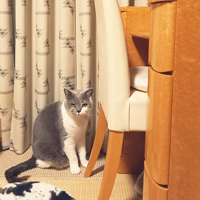 rhuさんの実例写真