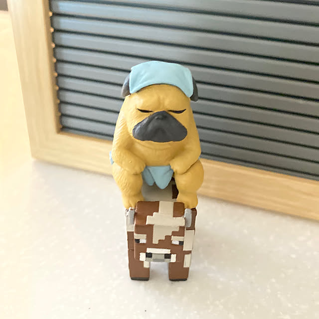 cocoさんの部屋