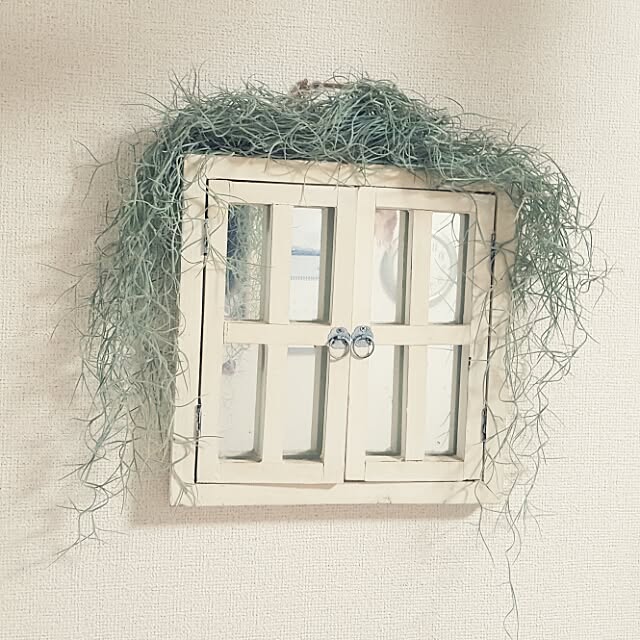 Shioriさんの実例写真