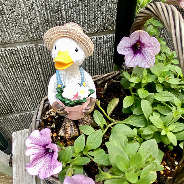 YuuKoさんの部屋