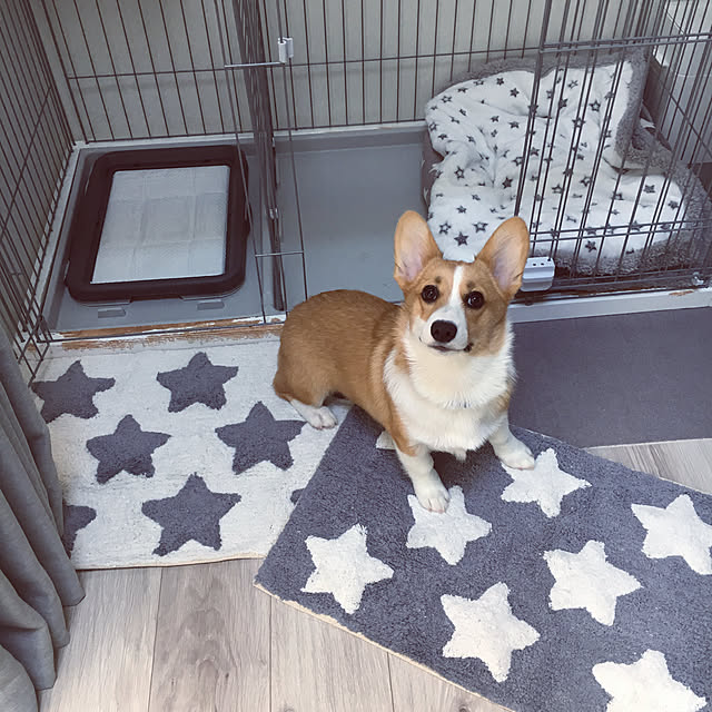 3ayuさんの実例写真