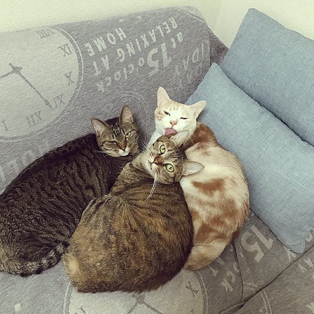 manyaさんの実例写真