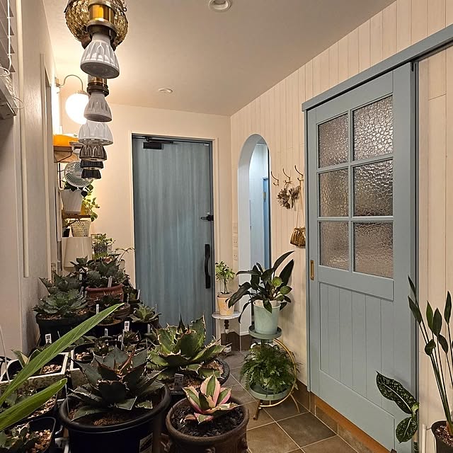 nonbiri_house_さんの部屋