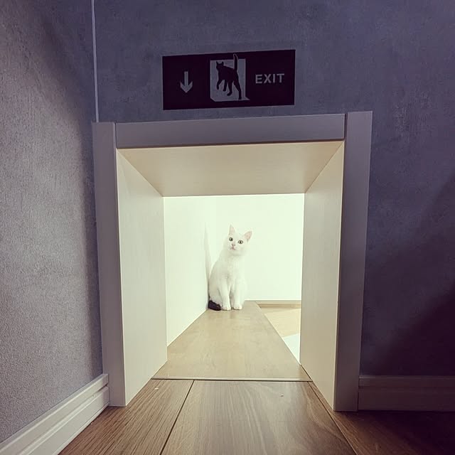 nekocatさんの実例写真