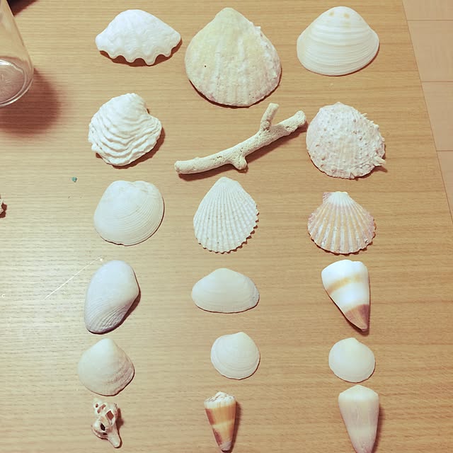 maitake.h.Rさんの実例写真