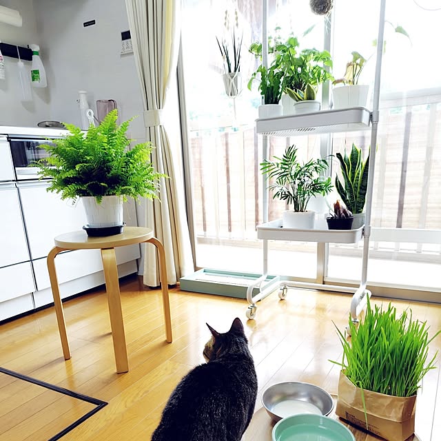 nachiさんの部屋