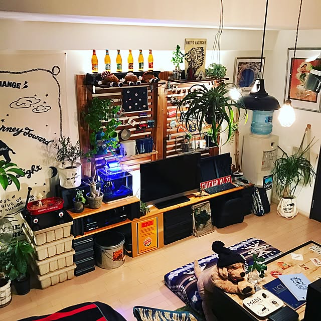 ka-zu23さんの実例写真