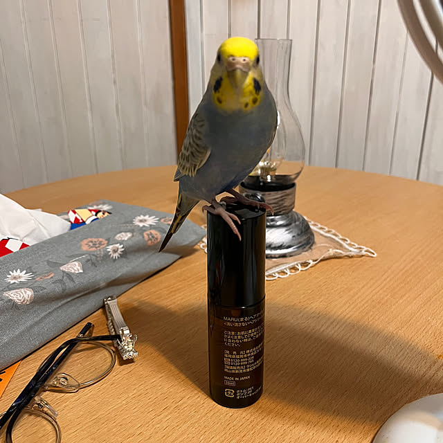 Atsukoさんの部屋