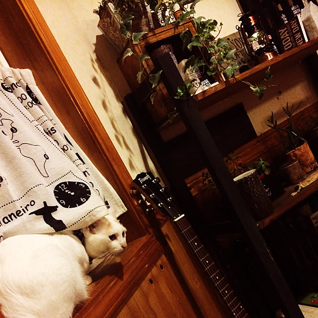 chocolatさんの実例写真