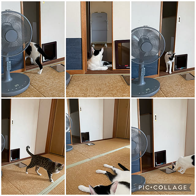 nobikoさんの実例写真