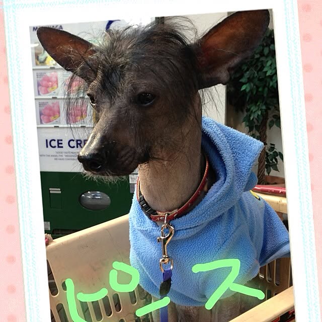 Kumikoさんの実例写真