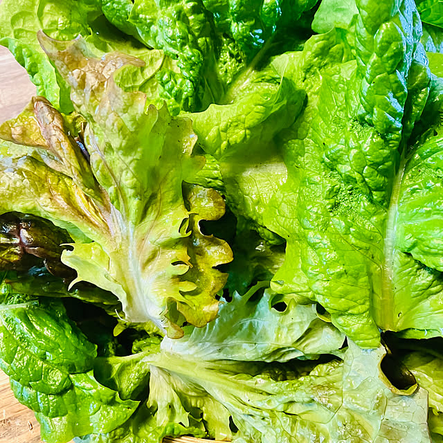 tomorinさんの部屋