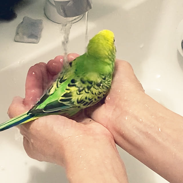ohanaさんの部屋